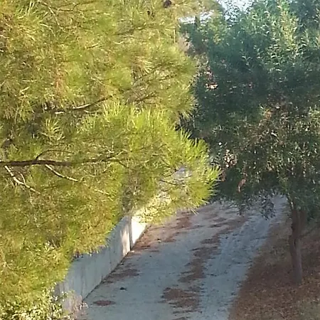 Leventis Layia Agrotourism